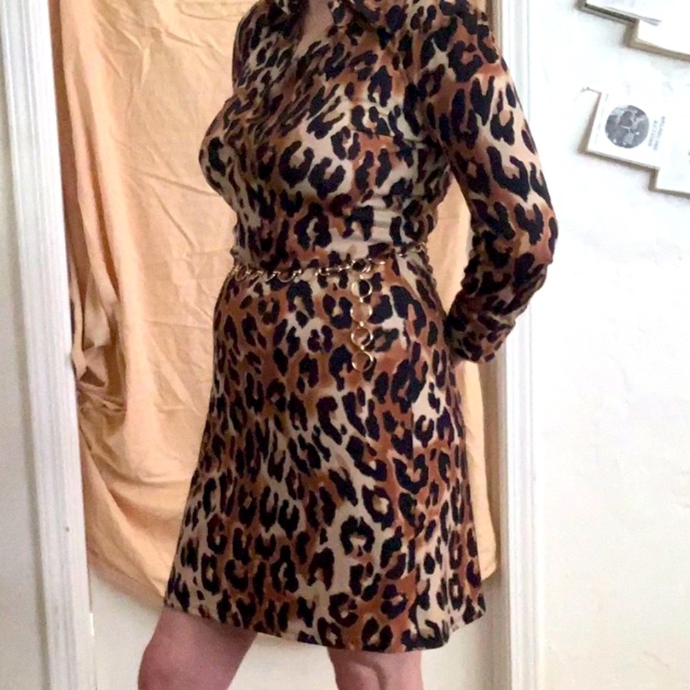 Leopard Print Dress